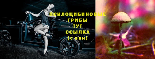 хмурый Кодинск