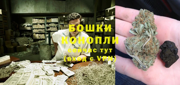 хмурый Кодинск