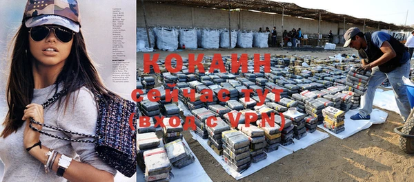 хмурый Кодинск