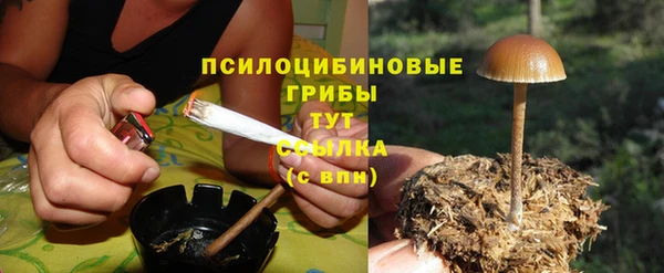 хмурый Кодинск