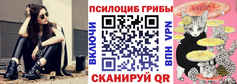 где найти   Димитровград  darknet официальный сайт  Галлюциногенные грибы прущие грибы 