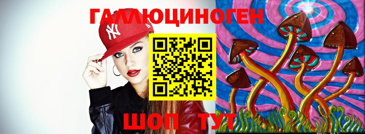 Галлюциногенные грибы Psilocybe Димитровград