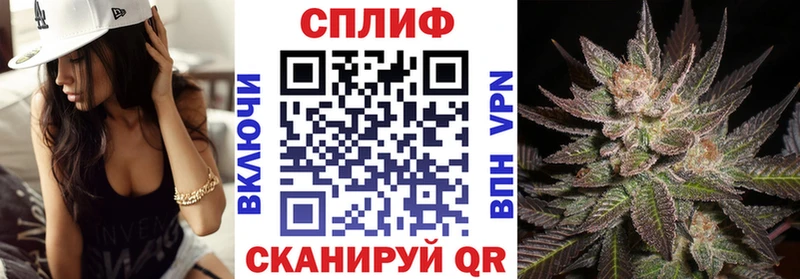 Бошки марихуана ГИДРОПОН  Димитровград 